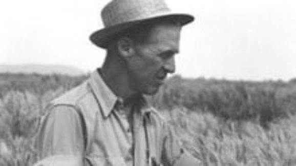 A Man for All Seasons, Norman Borlaug
