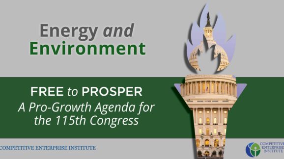 Agenda for Congress_Energy and Environmentv2