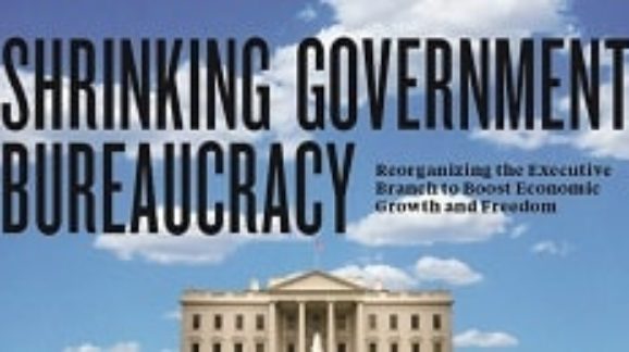 Shrinking Government Bureaucracy in Turbulent Times