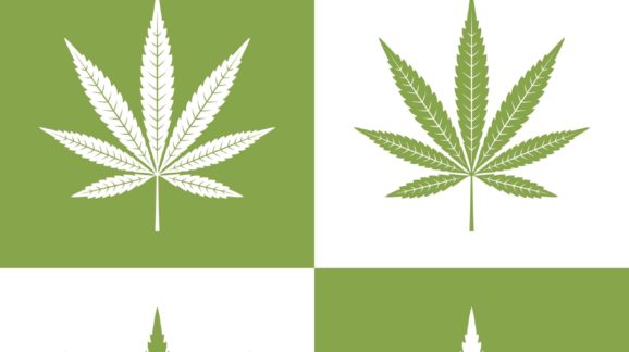 Conservatives & Libertarians to GOP: Time to Evolve on Marijuana Policy