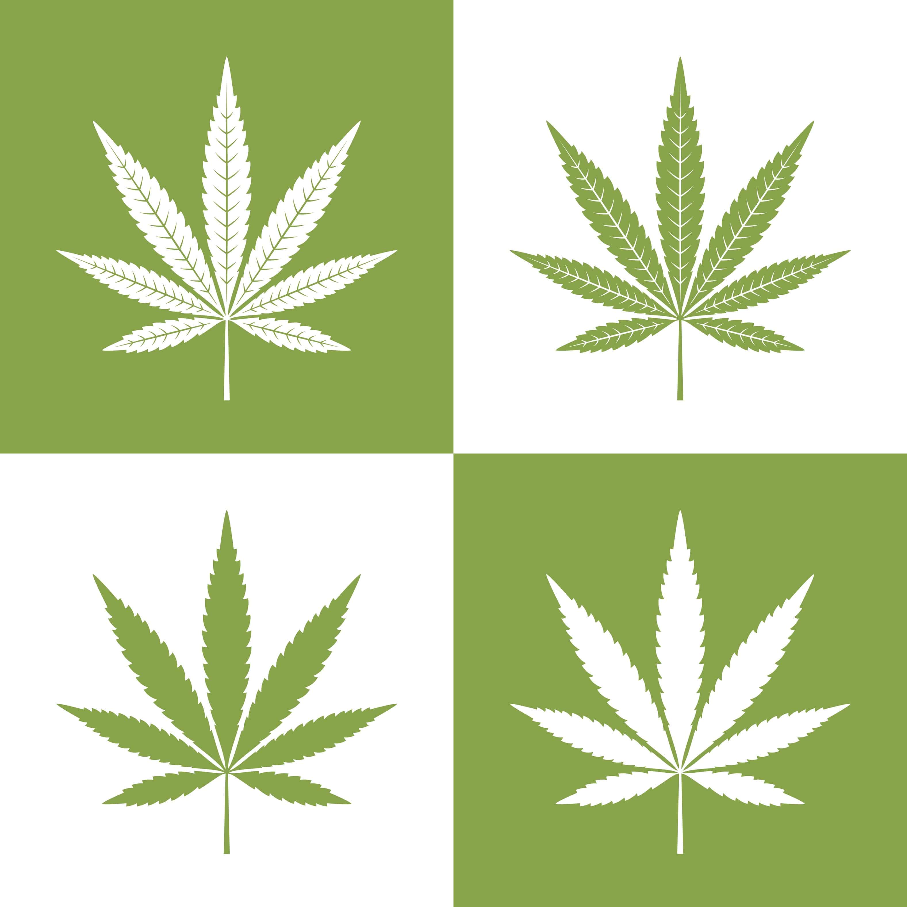 Рисунки поэтапно марихуана лекарственные препараты из конопли