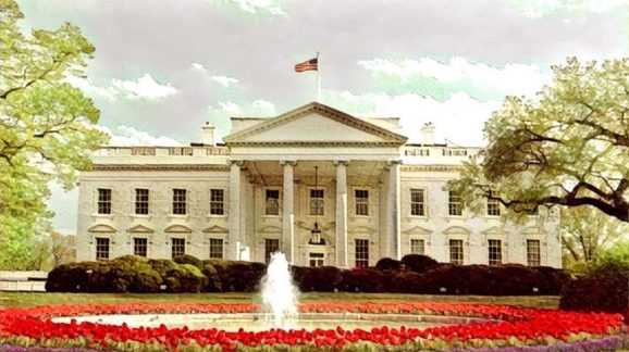 White House Prisma 1