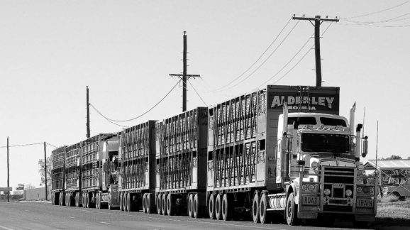 road-train-1021563_1920