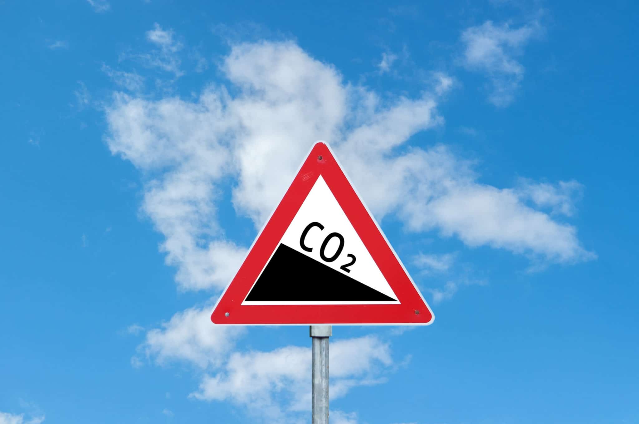 new-study-projects-net-carbon-dioxide-benefits-through-at-least-2050