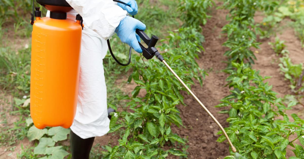 Consumers May Lose Access to Herbicide Roundup Thanks to Junk Science ...