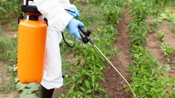 Consumers May Lose Access to Herbicide Roundup Thanks to Junk Science Lawsuits