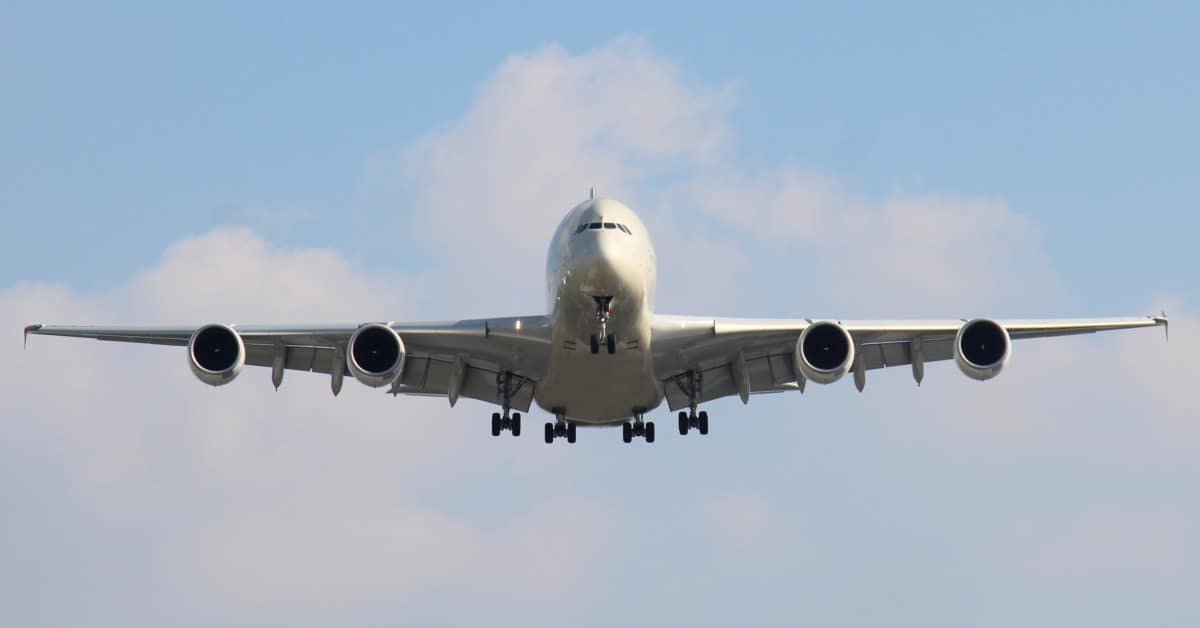 The week in regulations: Flight safety and organic pet food