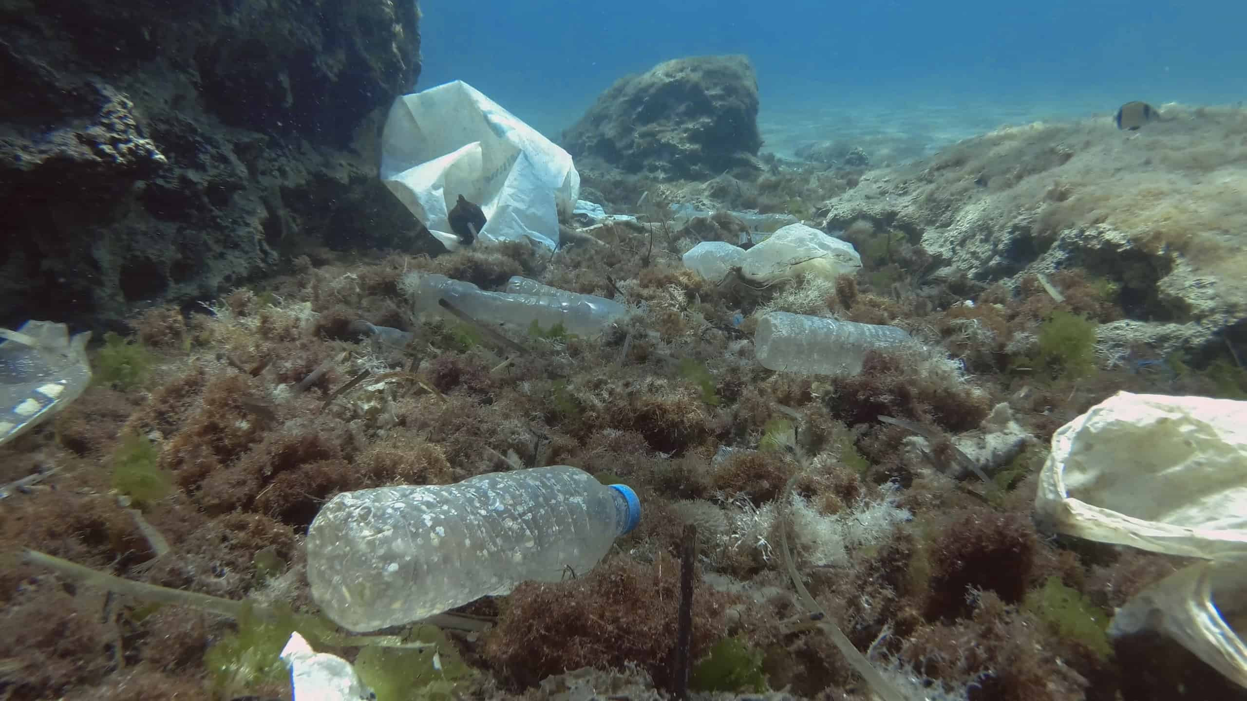 Counterpoint: Plastic Bans Won't Solve Ocean Plastic Problem