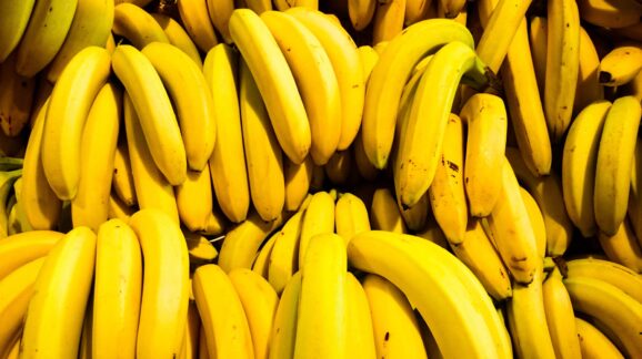 Certification Program Goes Bananas