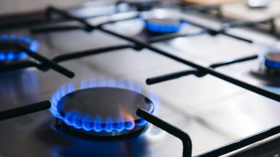 Competitive Enterprise Institute Leads Coalition Comment Opposing Department of Energy Stove Regulation