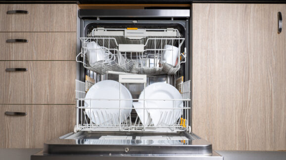 Appeals court rejects DOE’s attempt to eliminate fast dishwashers