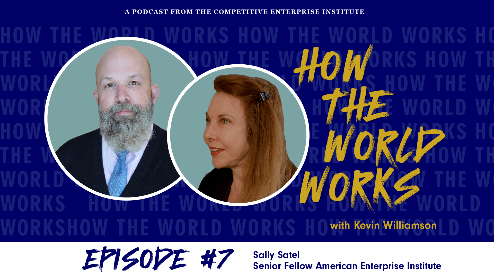 How the World Works Podcast with Sally Satel