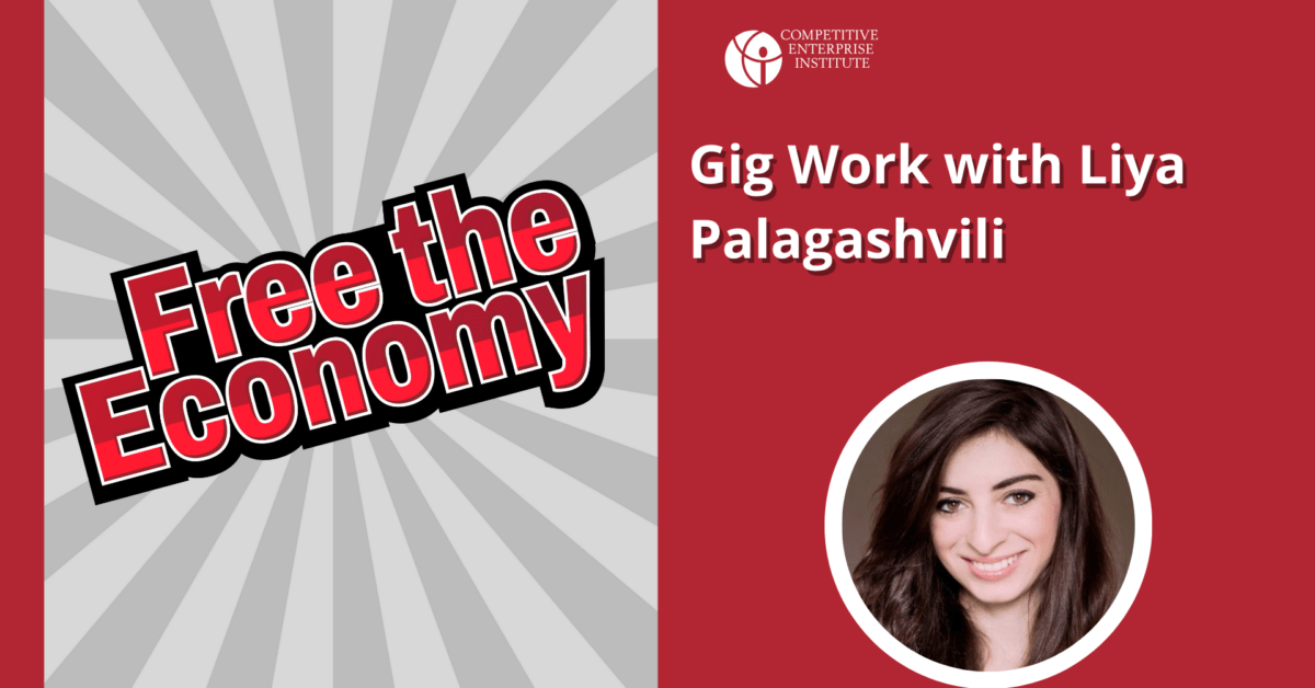 Unlocking Economic Potential: Liya Palagashvili Discusses Gig Work