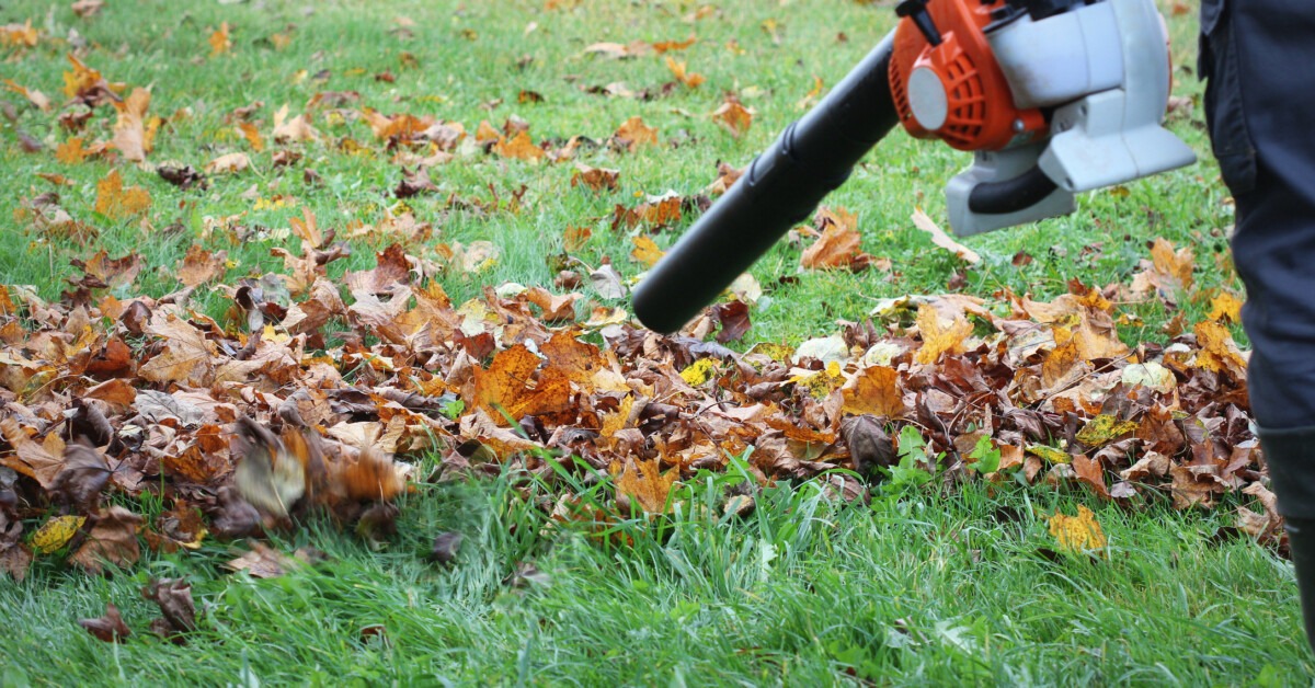 New Jersey moves to ban gas powered leaf blowers – Competitive Enterprise Institute