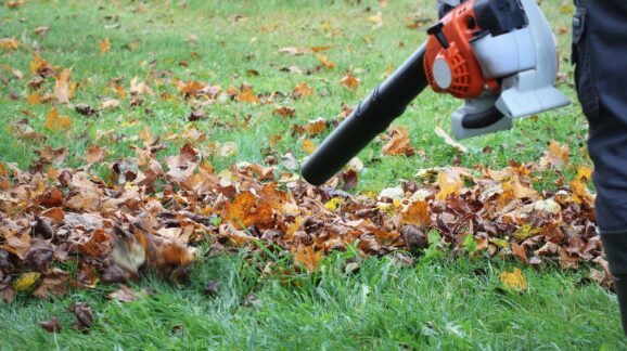 New Jersey moves to ban gas powered leaf blowers