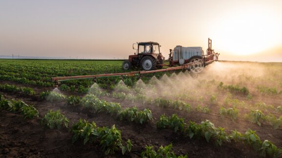 Biting the Science That Feeds Us: The War against Fertilizers