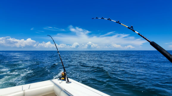 The week in regulations: Subsistence fishing and electric borrowers