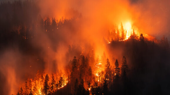 Congress should recognize the importance of prescribed burns