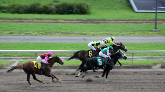 Racing and Gaming Conference at Saratoga panel: “Predicting the Future of Prediction Markets: Will they Go or Grow?”
