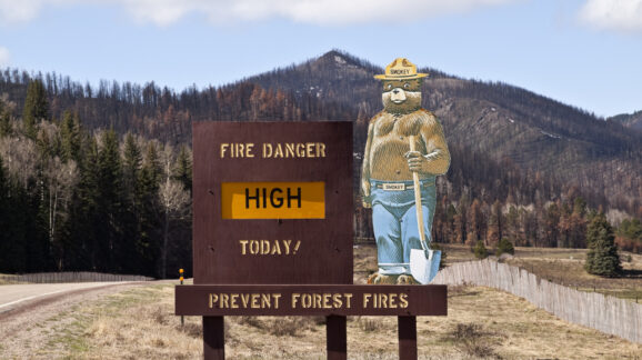 Happy birthday, Smokey Bear! Let’s fight forest fires the right way