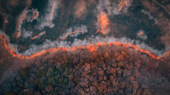 Senate’s turn to pass the Fix Our Forests Act
