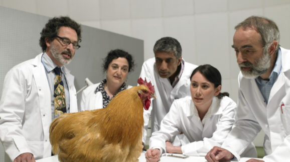The week in regulations: Poultry improvement and painful scars
