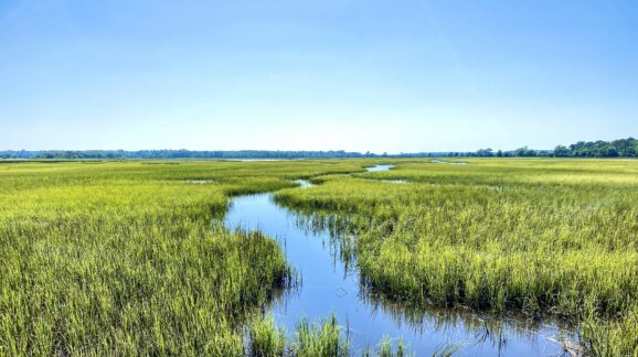 New WOTUS rule has a problem: The use of ‘wet season’