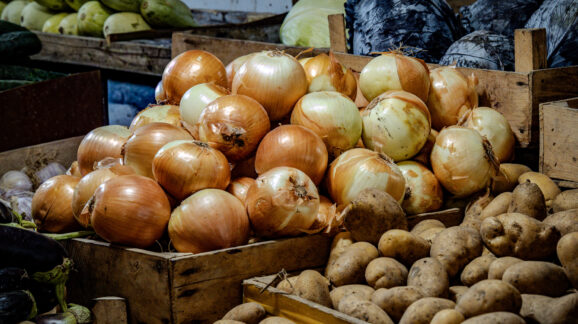 The week in regulations: Onion marketing and refrigerator leaks